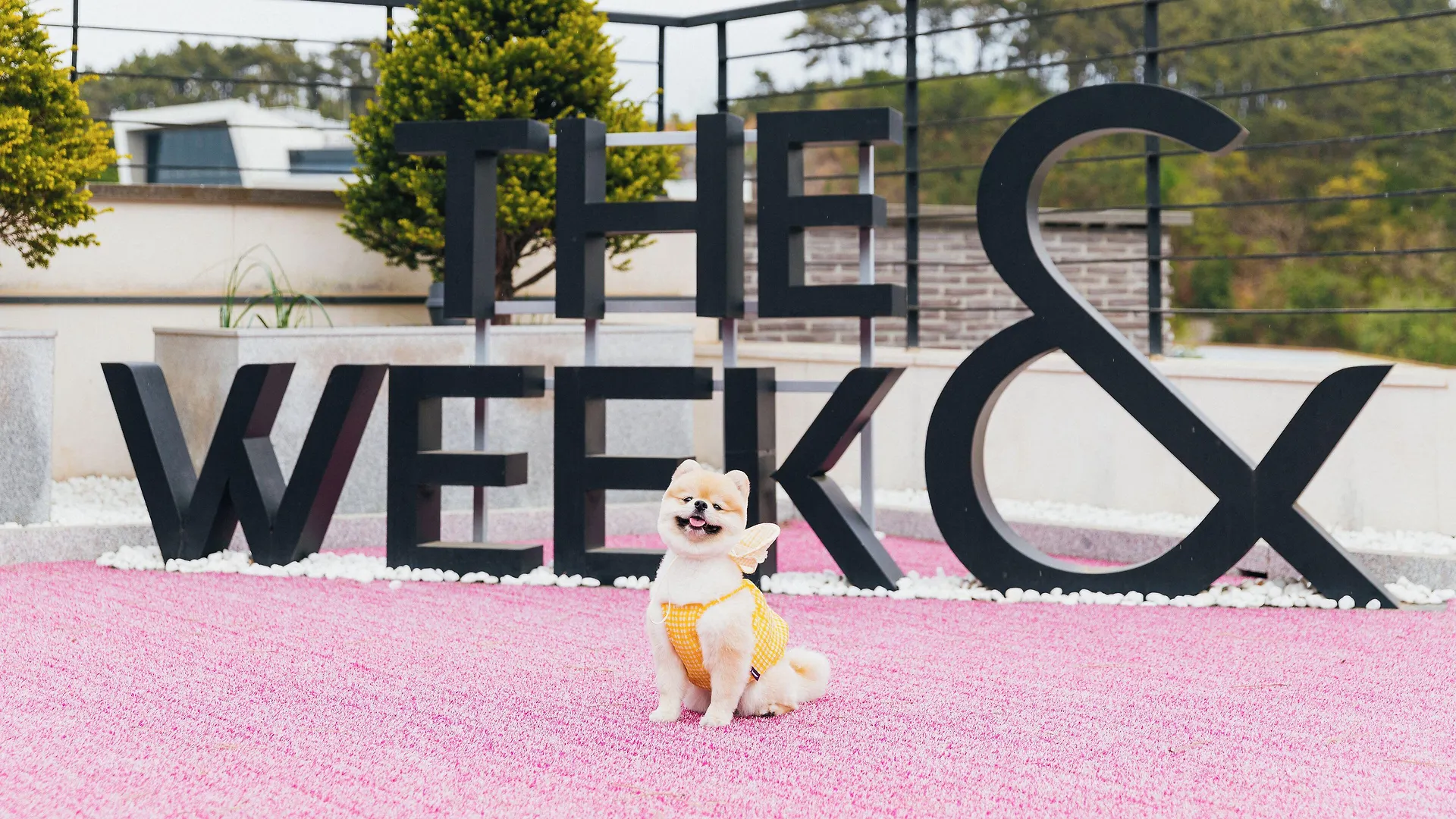 The Week & Resort インチョン広域市