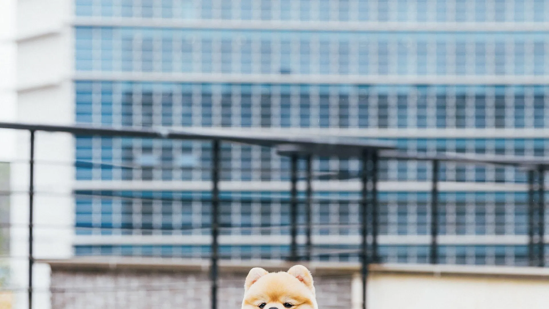 The Week & Resort Incheon 3*,  South Korea